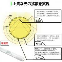 LED蛍光灯 10本 ガラス グロー用 20W形 58cm 色選択 60PB-X-10set