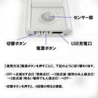 LEDセンサーライト 20cm 昼光色 人感 調光 薄型 SLED-20