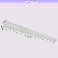 LEDベースライト トラフ形 8000lm 125cm 40W型2灯式相当 BL-Z50